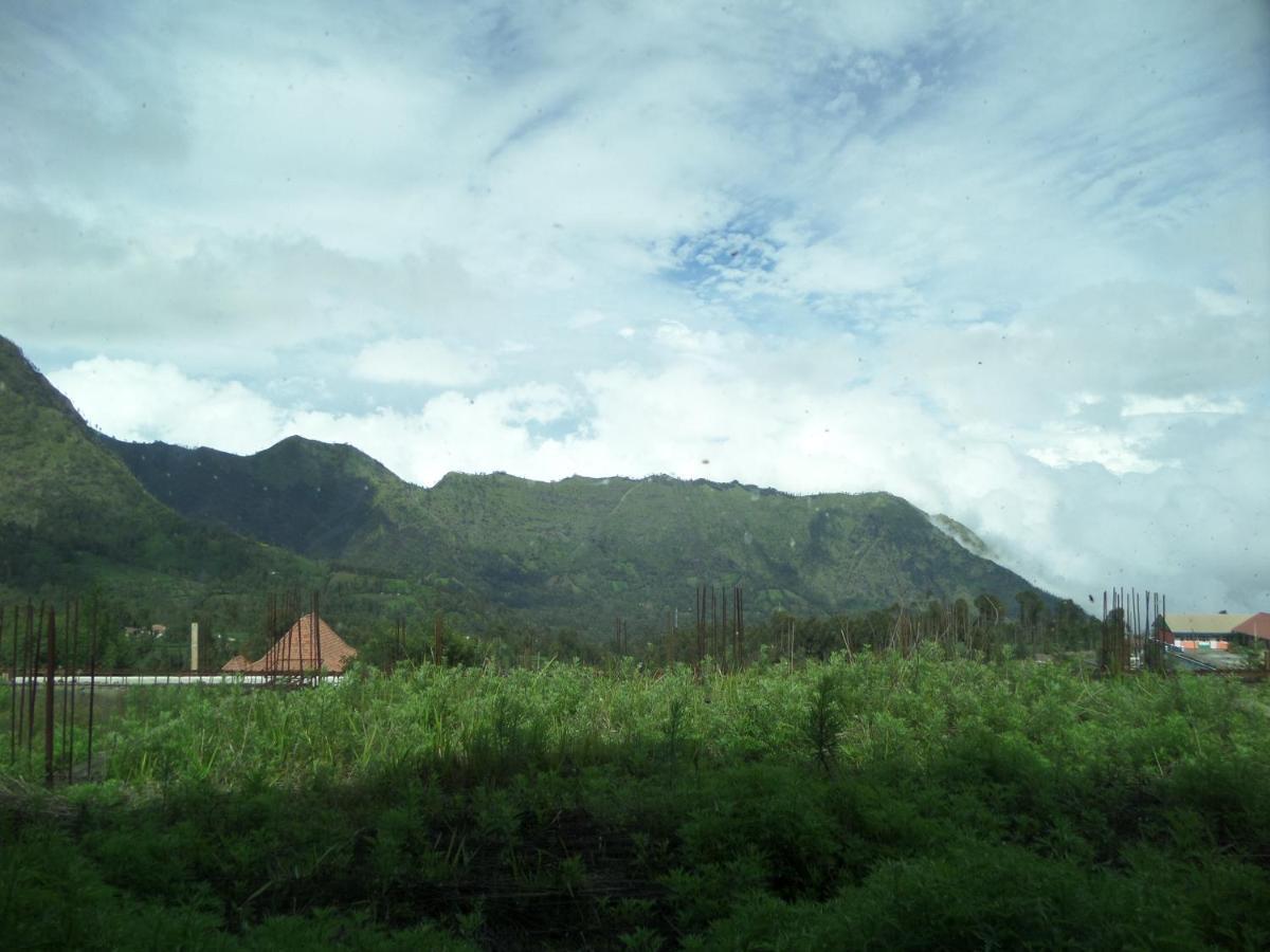 Bromo Permai 1 Hotel Exterior foto