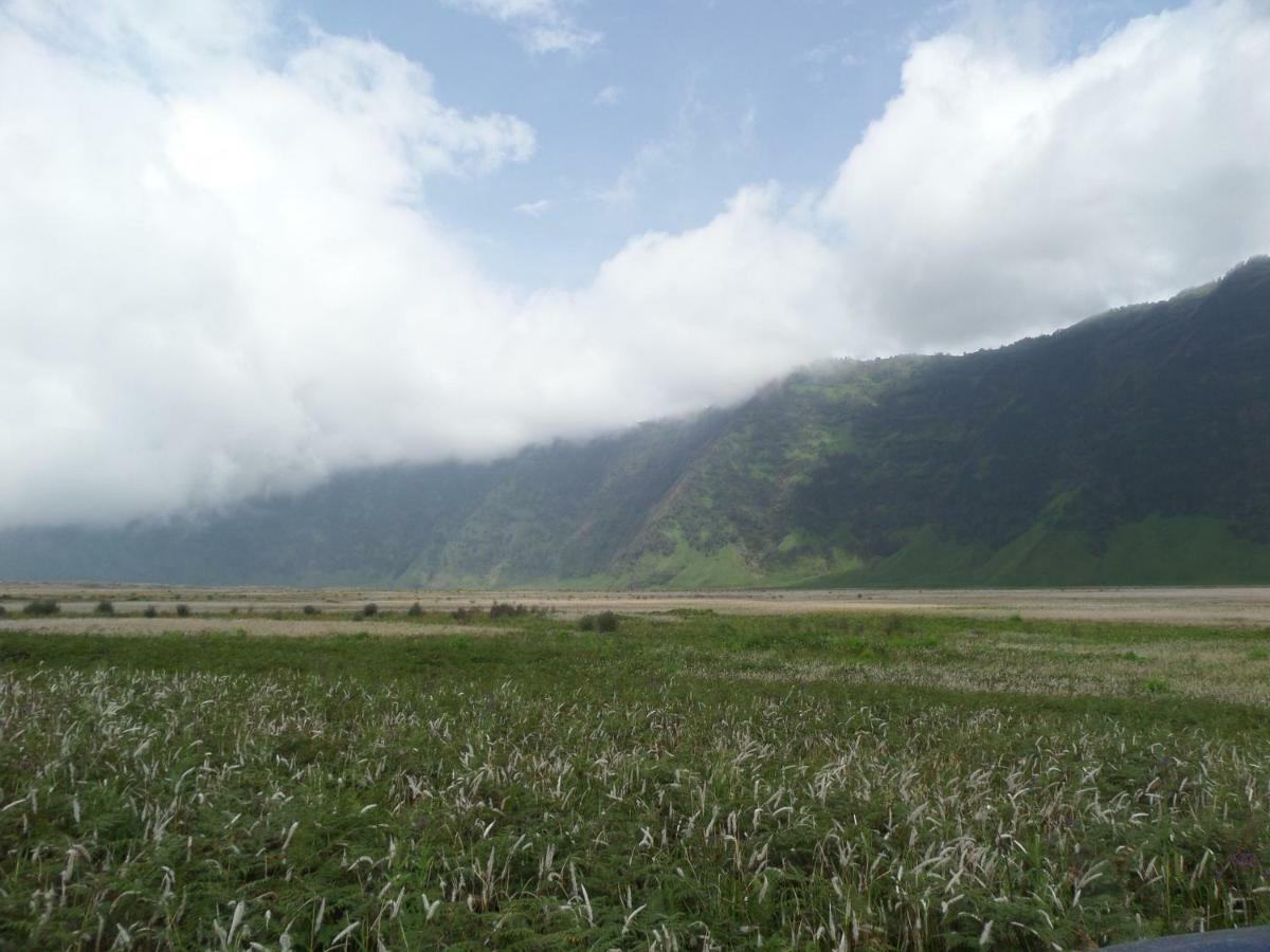 Bromo Permai 1 Hotel Exterior foto
