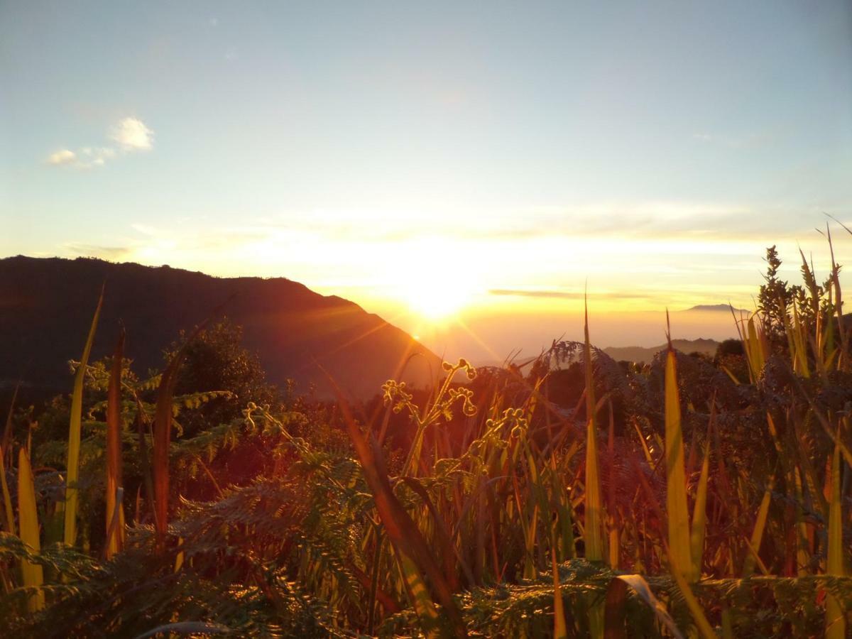 Bromo Permai 1 Hotel Exterior foto