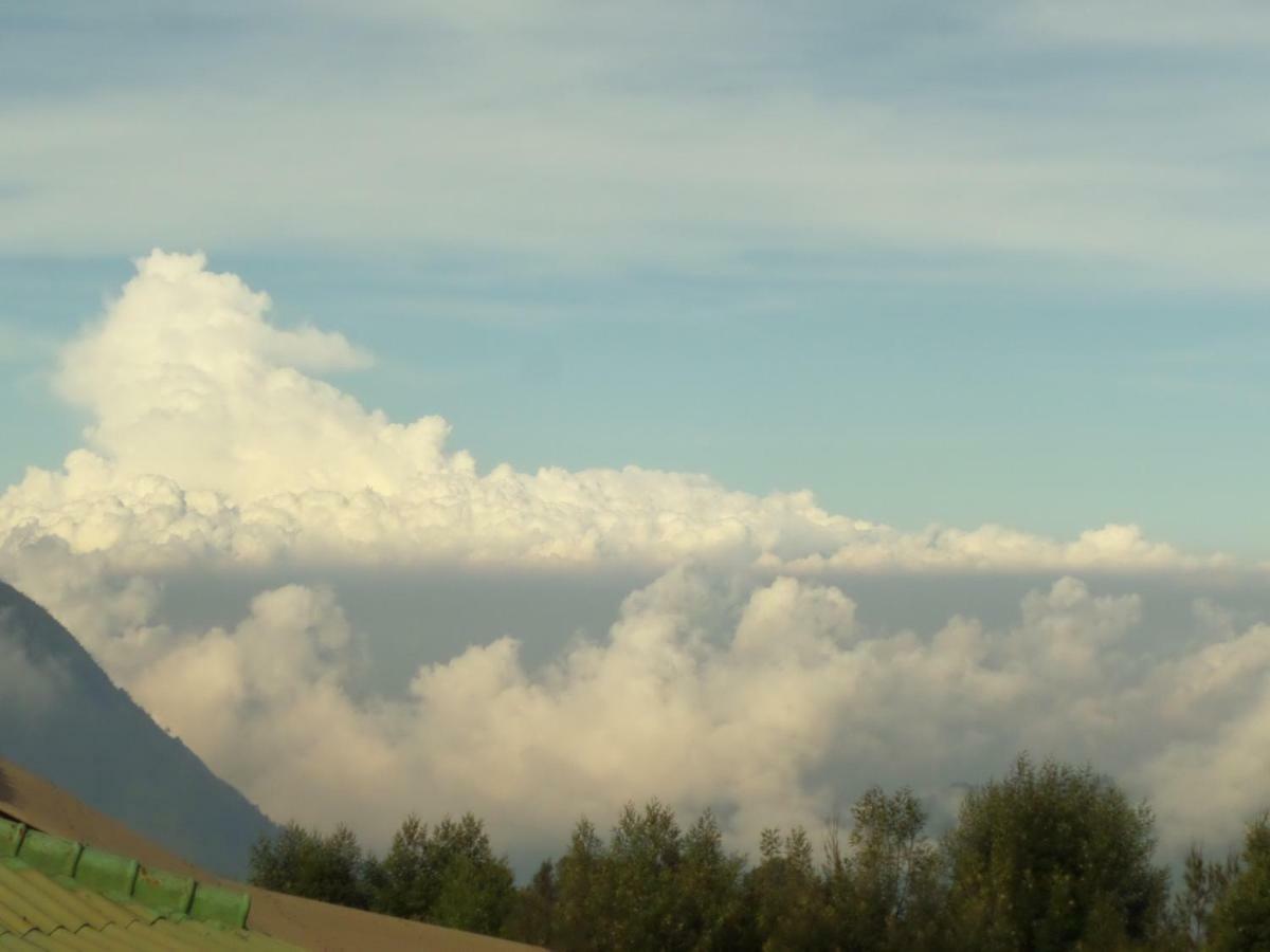 Bromo Permai 1 Hotel Exterior foto